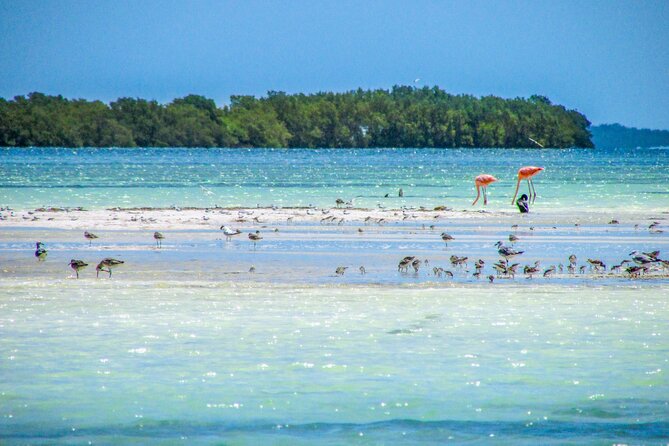 Holbox Island Tour in Mexico with Lunch - Why Holbox works as a long day trip