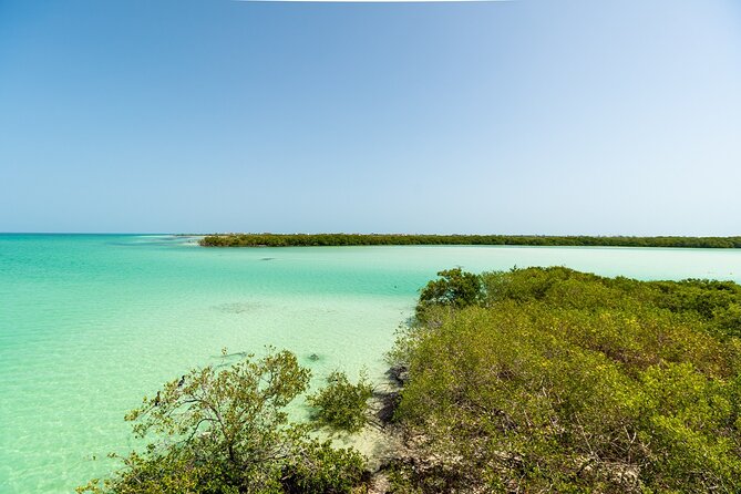 Holbox Island Tour with Pasion Island and Punta Mosquito - Price, extra fees, and the real value