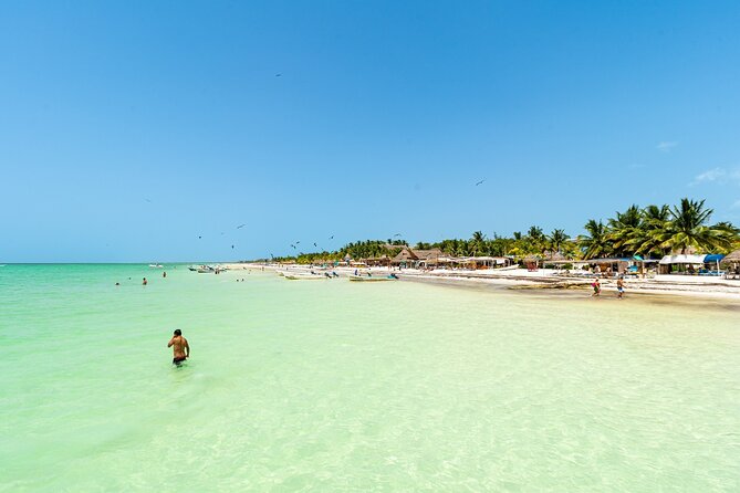 Holbox Island Tour with Pasion Island and Punta Mosquito - Isla de la Pasión: a quiet first look at the coast