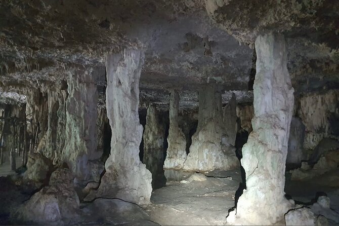 Horse Ride to Cenote Mil Columnas - The Outdoor Route Through Tulum’s Green Areas