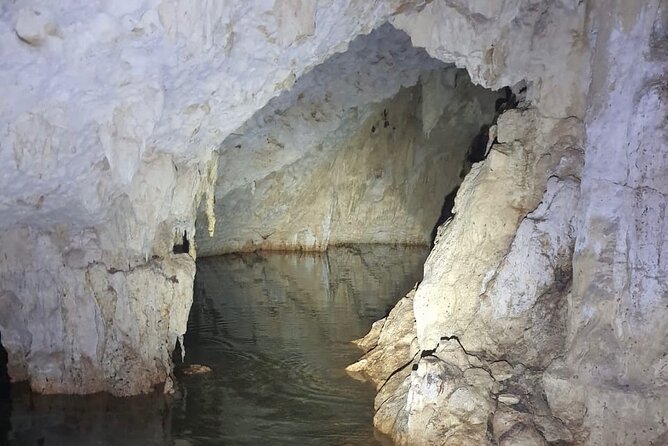 Horse Ride to Cenote Mil Columnas - Why the Four-Person Limit Matters