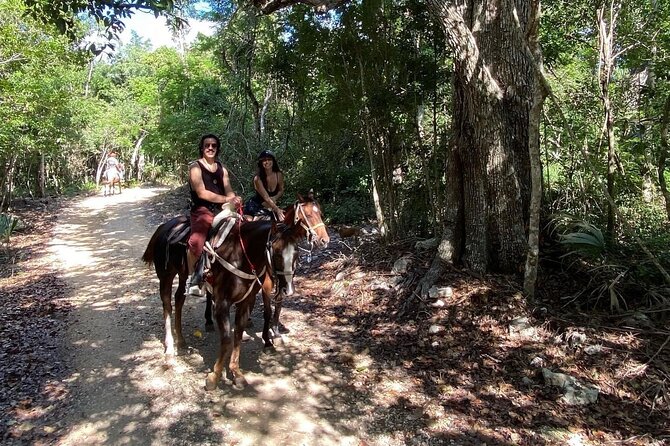 Horse Ride to Cenote Mil Columnas - Who Will Enjoy This Two-Hour Ride
