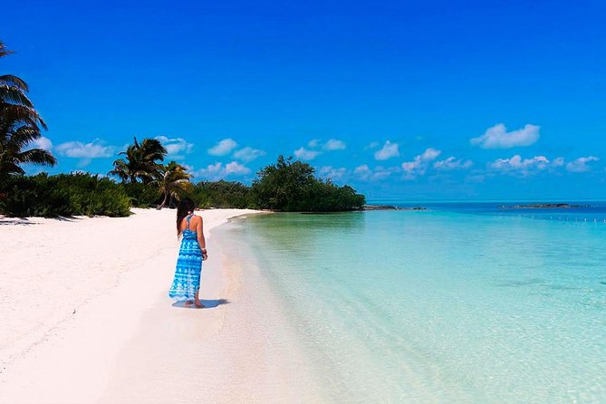 Isla Contoy Adventure Tour & Isla Mujeres from Playa del Carmen - Why Isla Contoy makes this trip different