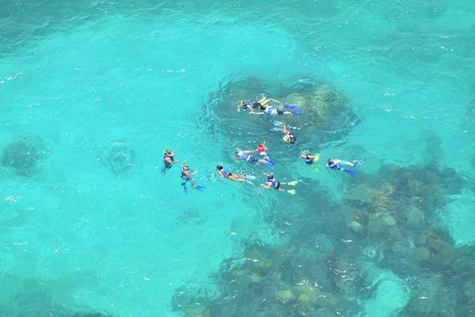 Isla Contoy Adventure Tour & Isla Mujeres from Playa del Carmen - Three hours on protected Isla Contoy