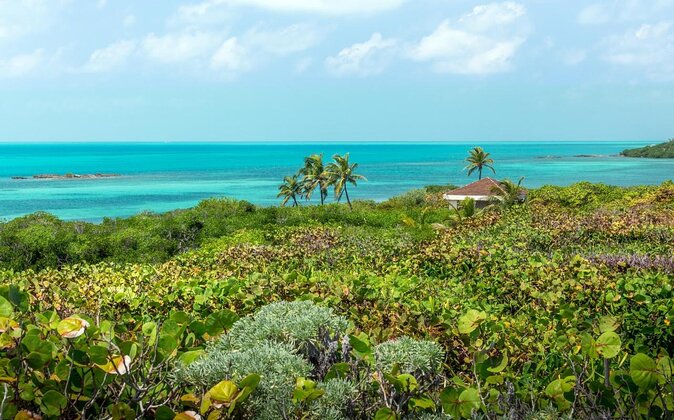 Isla Contoy & Isla Mujeres (from Playa del Carmen) - Key points to know before booking