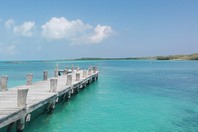 Isla Contoy & Isla Mujeres (from Playa del Carmen) - The group-size question deserves attention