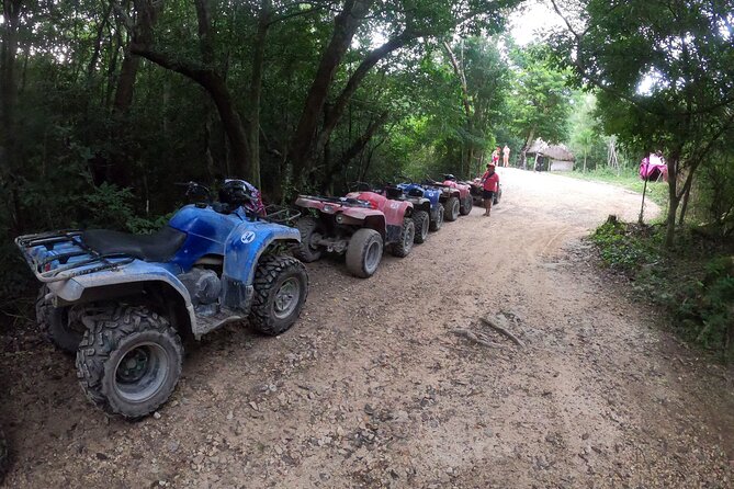 Jungle ATV Adventure: Unveiling Akumal's Enchanting Cenotes - Riding a Yamaha 350 CC ATV Over 8 Kilometers