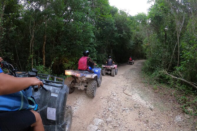 Jungle ATV Adventure: Unveiling Akumal's Enchanting Cenotes - A Wildlife Area and a Quiet Cave Cenote