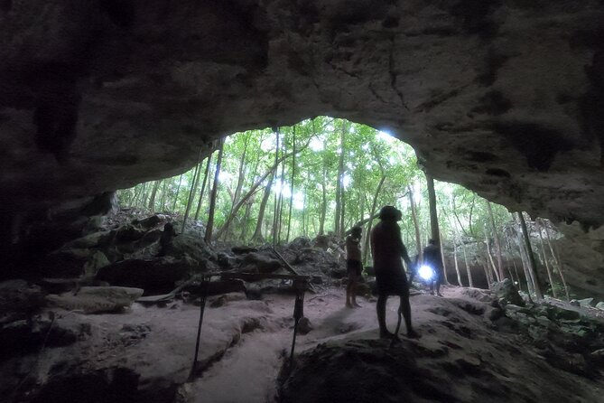 Jungle ATV Adventure: Unveiling Akumal's Enchanting Cenotes - Who Will Enjoy This Outing Most