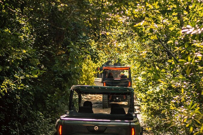 Jungle Buggy Day Tour - Timing, pickup, and what to pack