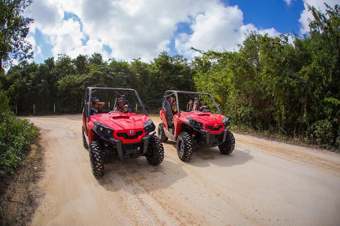 Jungle Buggy Tour from Playa del Carmen Including Cenote Swim - A 3-hour mix of engines, jungle, and clear water