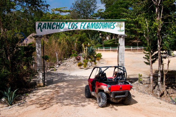 Jungle Buggy Tour from Playa del Carmen Including Cenote Swim - Group size, family fit, and physical demands