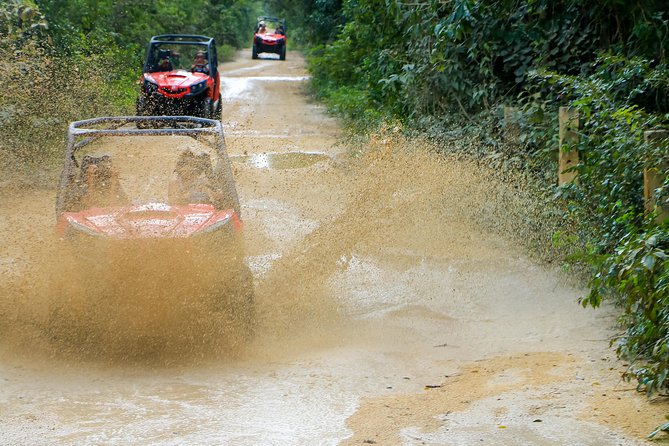Jungle Buggy Tour from Playa del Carmen Including Cenote Swim - Is $110.29 a good value?