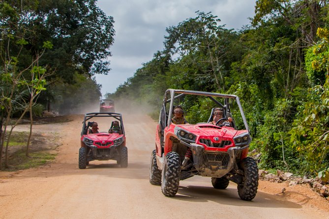 Jungle Buggy Tour from Playa del Carmen Including Cenote Swim - Pickup from Playa del Carmen and the ride to the trails