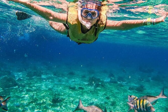 Kaan Luum Lagoon and Cenote Snorkel Tour in Tulum - Playa Maya: reef snorkeling for the first two hours
