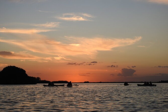 Kayak Sian Ka’an Experience - What you see in the mangrove channels