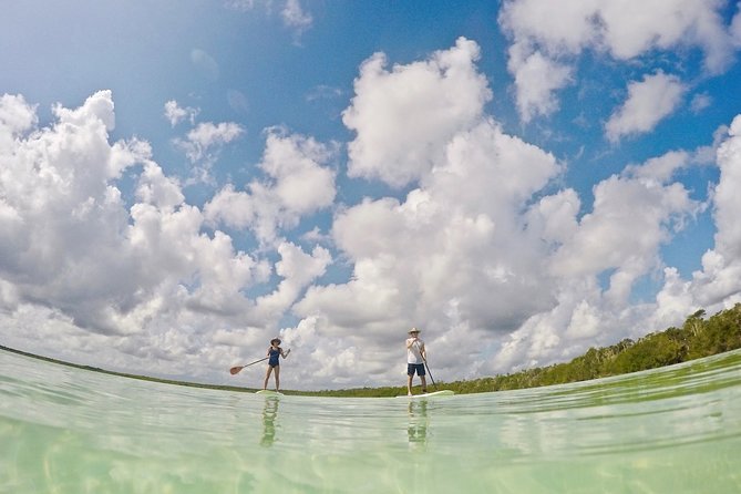 Lagoon Paddleboarding Tour in Tulum - Paddling the loop and taking time on the swings