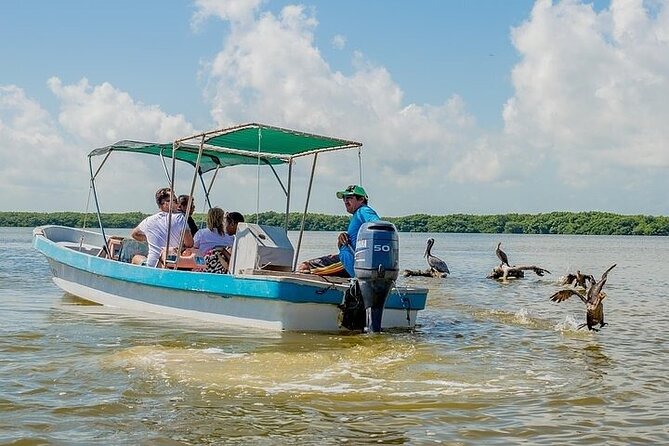 Las Coloradas & Rio Lagartos Biosphere! Transportation from Playa Del Carmen - The real cost is higher than $131