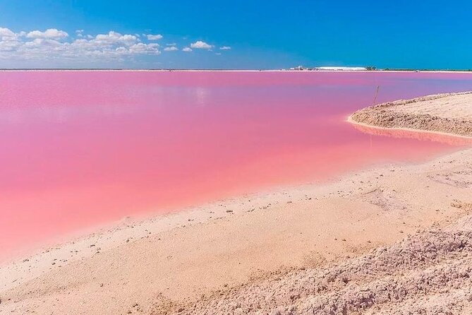 Las Coloradas & Rio Lagartos Biosphere! Transportation from Playa Del Carmen - Expect 12 hours on paper, 14 to 15 in practice