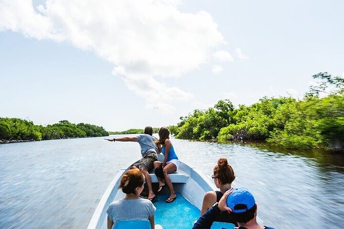 Las Coloradas & Rio Lagartos Biosphere! Transportation from Playa Del Carmen - Who will enjoy this day most