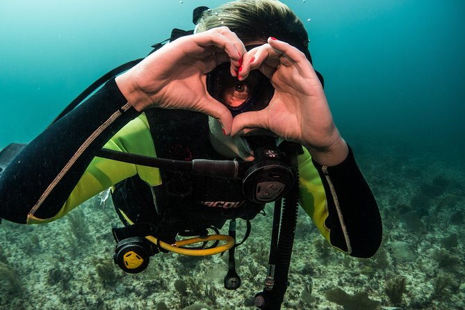 Local Dive in Playa del Carmen - How certification changes your underwater plan