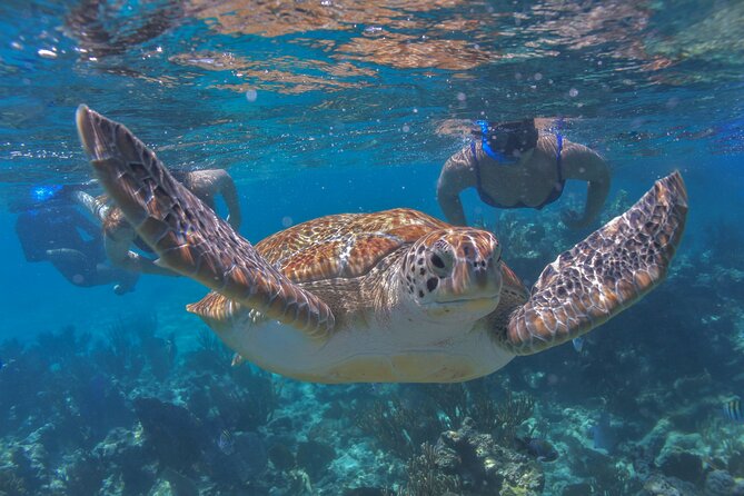 Luxury Sailing & Snorkeling Experience from Riviera Maya - Setting sail from Puerto Aventuras