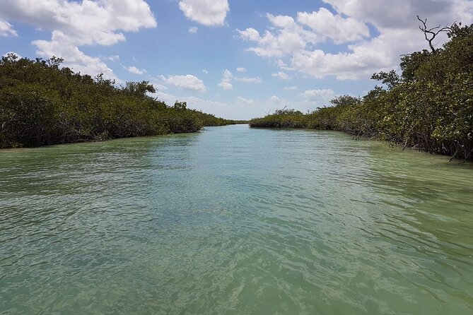 Magic Sian ka'an Deluxe two boats - Offshore wildlife, sea turtles, and reef snorkeling
