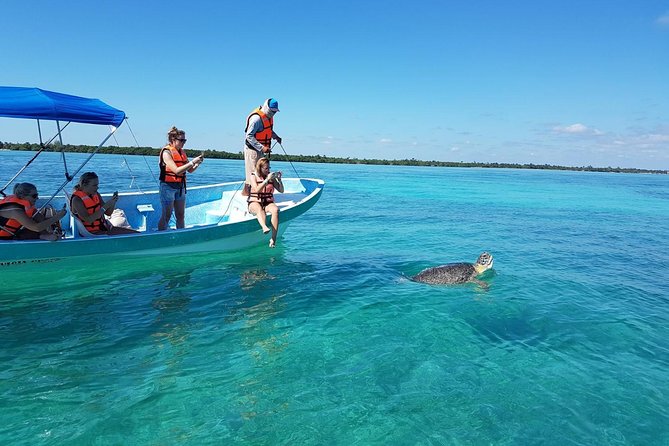 Magic Sian ka'an Deluxe two boats - The morning ride from Tulum to the reserve