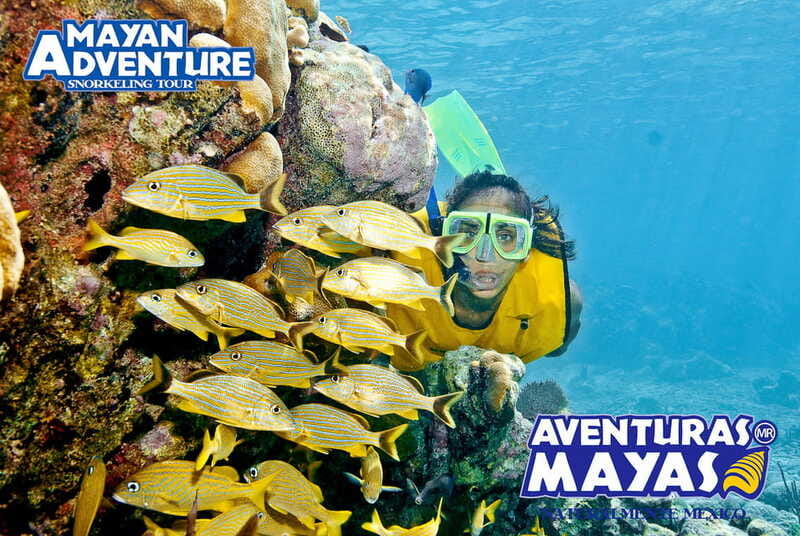 Mayan Adventure - 3 different snorkeling sites in one day! - Three water worlds in one Riviera Maya day