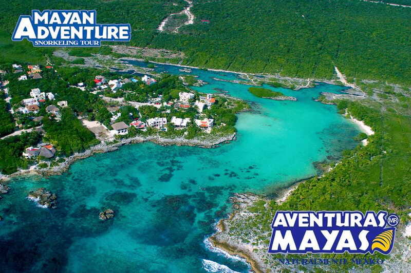 Mayan Adventure - 3 different snorkeling sites in one day! - What the guide adds to the experience