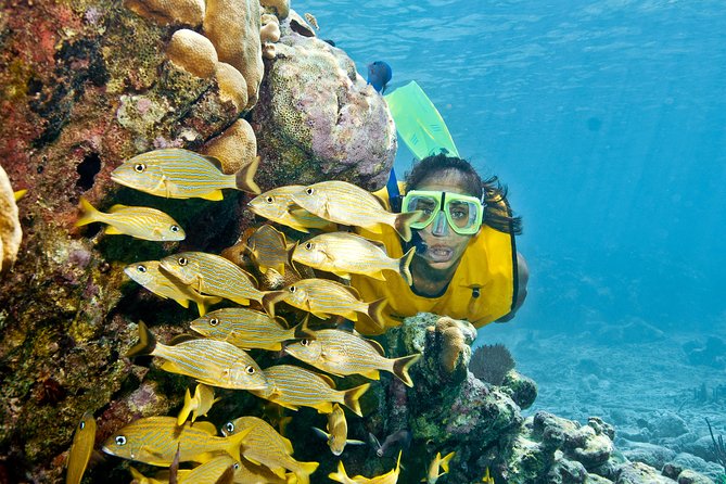 Mayan Adventure Snorkeling Tour from Playa del Carmen or Riviera Maya - Why three kinds of water matter
