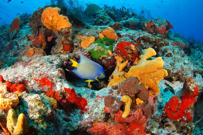 Mayan Adventure Snorkeling Tour from Playa del Carmen or Riviera Maya - The underground river and cave section
