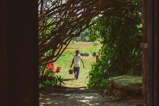 Mayan Backroads Private Bike Tour from Tulum - Who will enjoy this bike tour most