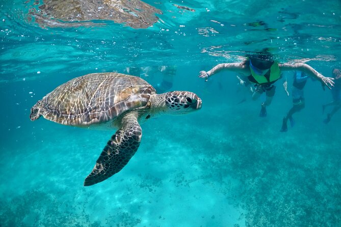 Mayan snorkeling (Akumal-Cenote-Caverna) - Key points to know before booking