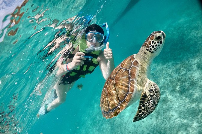 Mayan snorkeling (Akumal-Cenote-Caverna) - Lunch in the eco park