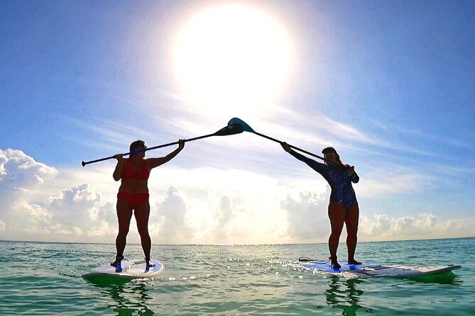Morning Session - All Levels Paddleboard Group Caribbean Sea - Starting at Fusion Beach in Playa del Carmen