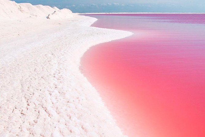 Natural Pink Lake Tour Las Coloradas only from Playa del Carmen - Why Las Coloradas is worth the long ride