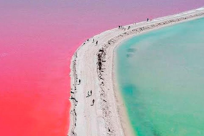 Natural Pink Lake Tour Las Coloradas only from Playa del Carmen - Ría Lagartos brings the wildlife