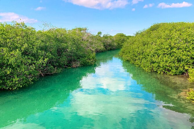 Nature Day, Sian Kaan Biosphere Tour! Round Transportation from Tulum City - Entering Sian Ka’an from Tulum at 7:30 a.m.