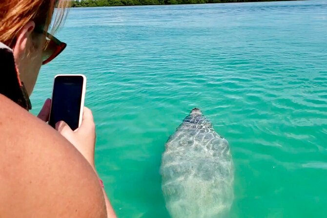 Nature Day, Sian Kaan Biosphere Tour! Round Transportation from Tulum City - A simple lunch after the water activities