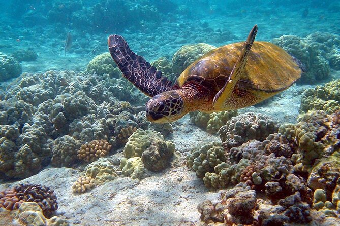 Nature Day, Sian Kaan Biosphere Tour! Round Transportation from Tulum City - One hour for photos and a slower look around