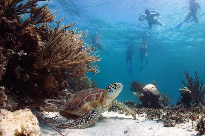 Nature Day, Sian Kaan Biosphere Tour! Round Transportation from Tulum City - Group size, comfort, and what to pack