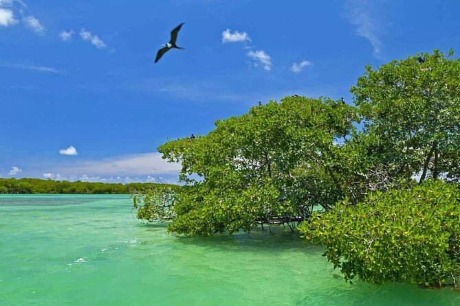 Nature Day, Sian Kaan Biosphere Tour! Round Transportation from Tulum City - The rough road to Punta Allen