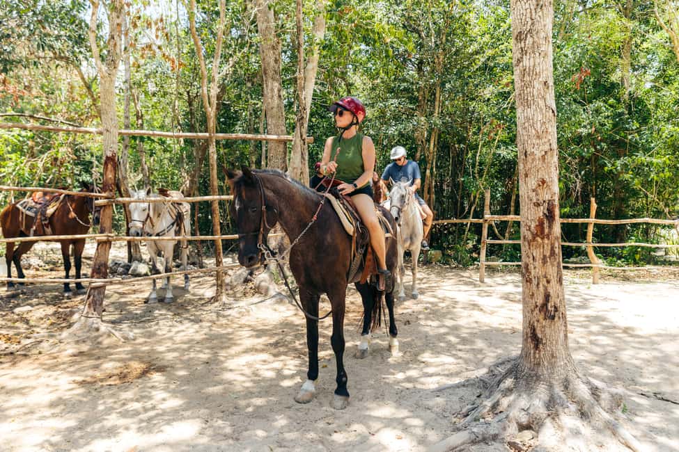 Nature Tour - Group size and guide support