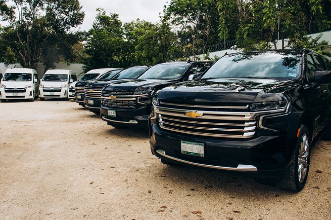 One Way Private Transfer Playa del Carmen - Cancun Int Airport - Key points to know before booking
