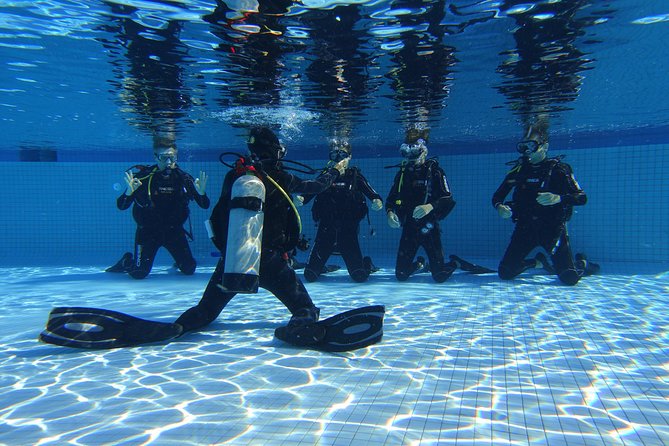 Open Water Diver 2-Day PADI Course in Playa del Carmen - Two mornings of pool training