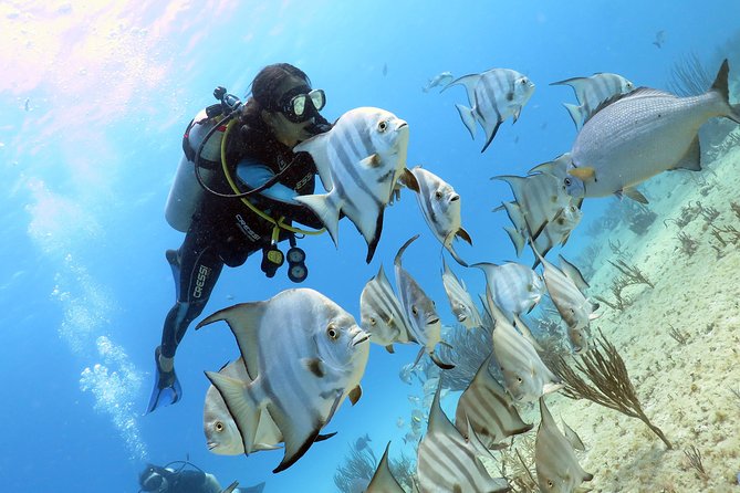 Open Water Diver 2-Day PADI Course in Playa del Carmen - Age, fitness, and who should book