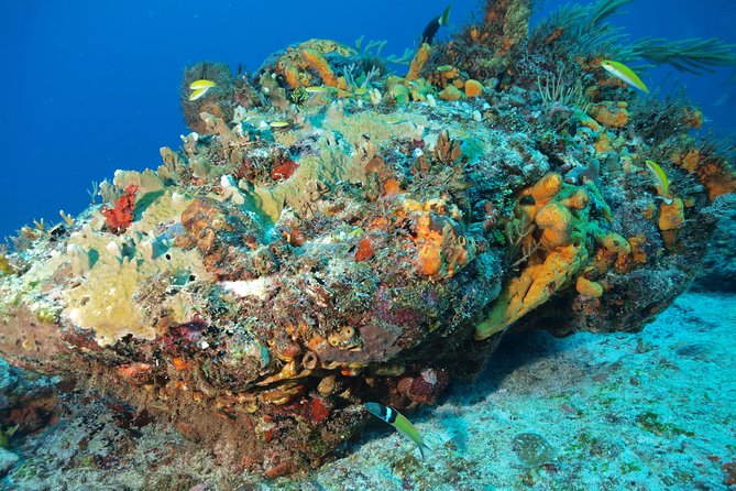 Open Water Diver course PADI including underwater video - Cenote sessions bring a distinctly Yucatan setting