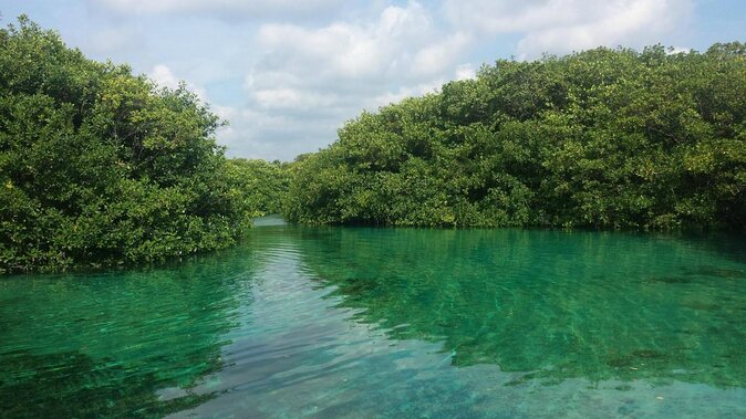 Paddleboard Cenote Tour - What makes this Casa Cenote tour worth considering