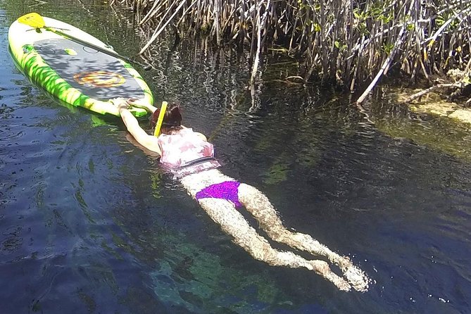 Paddleboard Cenote Tour - Casa Cenote from a paddleboard